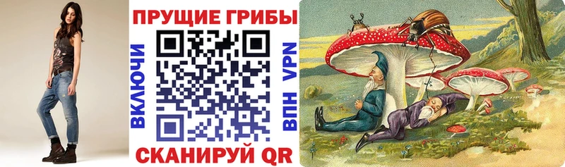 дарк нет Telegram  Сурск  Псилоцибиновые грибы мицелий  наркота 